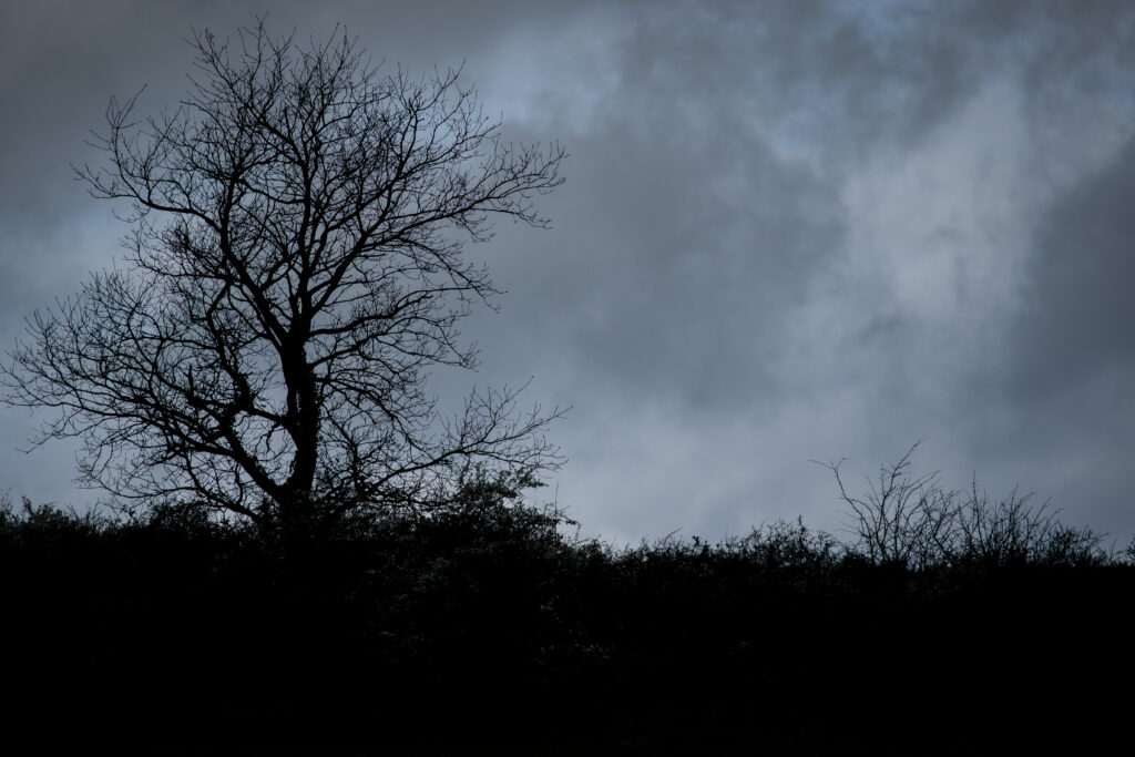 C'était un jour d'orage , une forte ambiance d'orage , avec les nuages qui forment des têtes improbables , un visage d'aliens dans le coin en haut à droite , ca dure 1mn , puis tout s'en va , la magie de la nature et du vent.